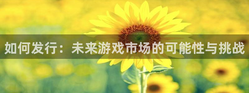 亿万28电子商务有限公司电话：如何发行：未来游戏市场的可能性与挑战