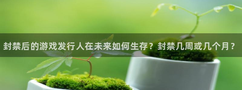 亿万28涂料(北京)有限公司：封禁后的游戏发行人在未来如何生存？封禁几周或几个月？
