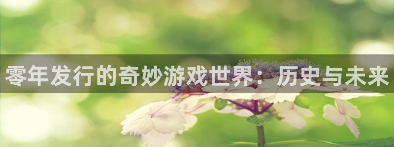 亿万28品牌服装：零年发行的奇妙游戏世界：历史与未来