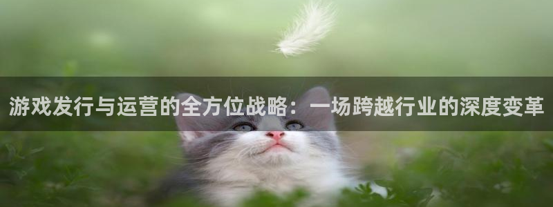 亿万28娱乐测速官网