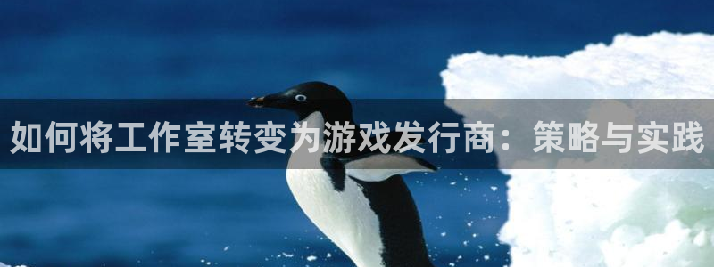 亿万28官网注册地址在哪里啊：如何将工作室转变为游戏发行商：策略与实践