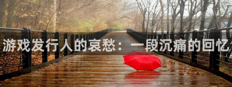 亿万28官网登录注册账号安全吗可靠吗：游戏发行人的哀愁：一段沉痛的回忆