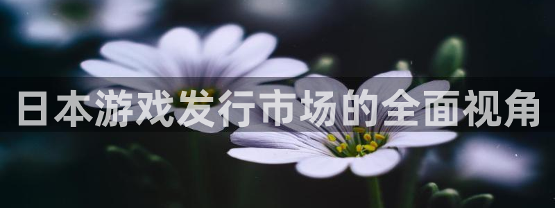 亿万28官网代理开号怎么开